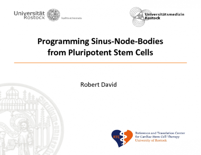 Programming Sinus-Node-Bodies from Pluripotent Stem Cells