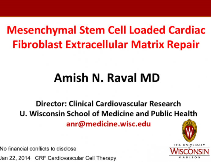 Mesenchymal Stem Cell Loaded Cardiac Fibroblast Extracellular Matrix Repair