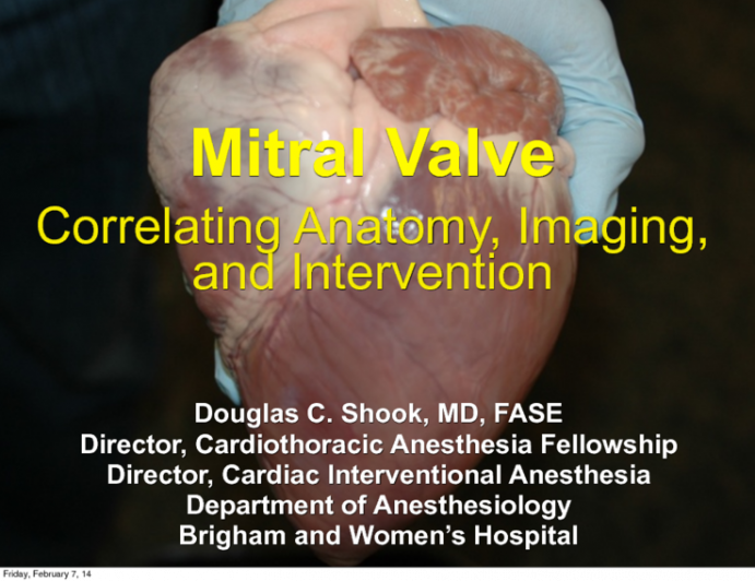 Mitral Valve: Correlating Anatomy, Imaging, and Intervention