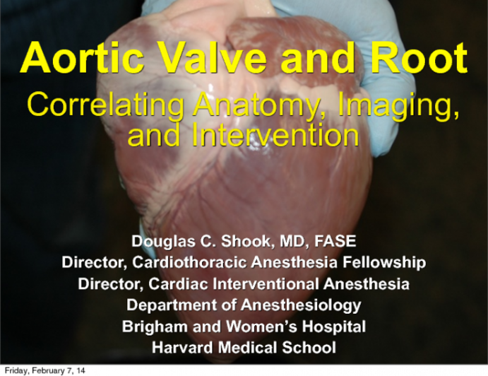 Aortic Valve and Root: Correlating Anatomy, Imaging, and Intervention