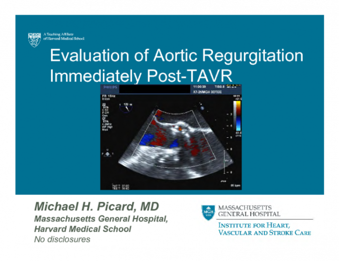 Evaluation of Aortic Regurgitation Immediately Post-TAVR