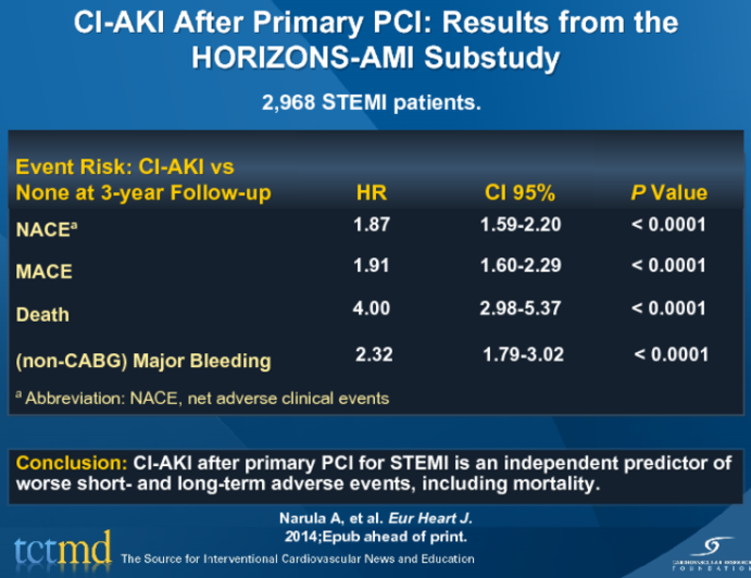 CI-AKI After Primary PCI: Results from the HORIZONS-AMI Substudy