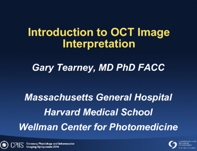 Introduction to OCT Image Interpretation