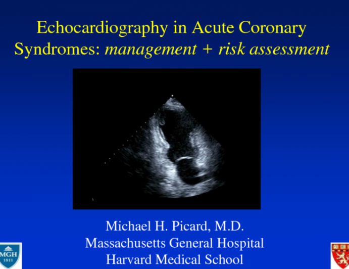 Echocardiography in Acute Coronary Syndromes: Management and Risk Assessment