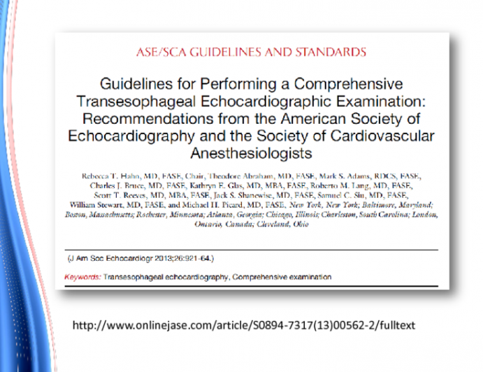 Guidelines for Performing a Comprehensive Transesophageal Echocardiographic Examination