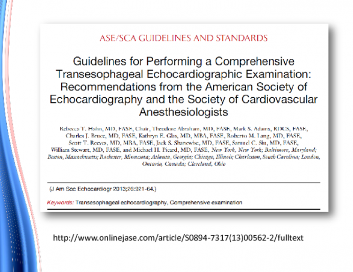 Guidelines For Performing A Comprehensive Transesophageal Echocardiographic Examination 0643