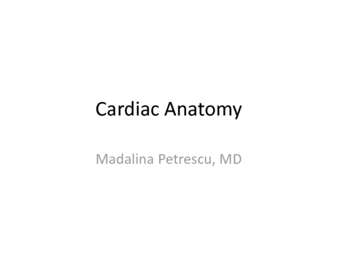 Cardiac Anatomy