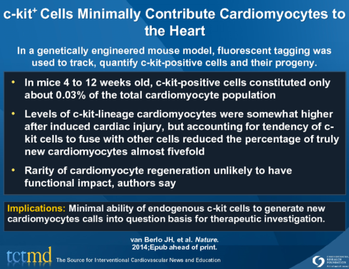 c-kit+ Cells Minimally Contribute Cardiomyocytes to the Heart