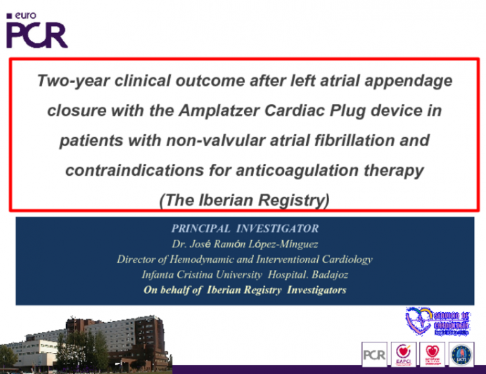 Two-year clinical outcome after left atrial appendage closure with the Amplatzer Cardiac Plug device in patients with non-valvular atrial fibrillation and contraindications for anticoagulation therapy