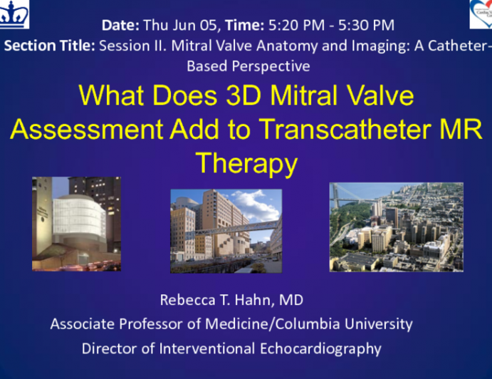 What Does 3D Mitral Valve Assessment Add to Transcatheter MR Therapy Guidance?