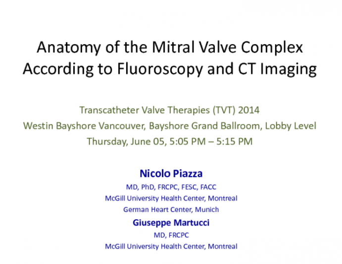 Anatomy of the Mitral Valve Complex According to Fluoroscopy and CT Imaging