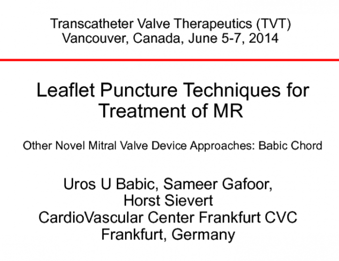 Babic Transcatheter Chords