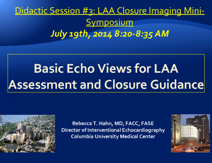 Basic Echo Views for LAA Assessment and Closure Guidance