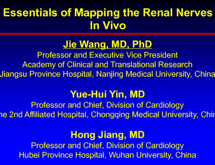 Essentials of Mapping the Renal Nerves In Vivo