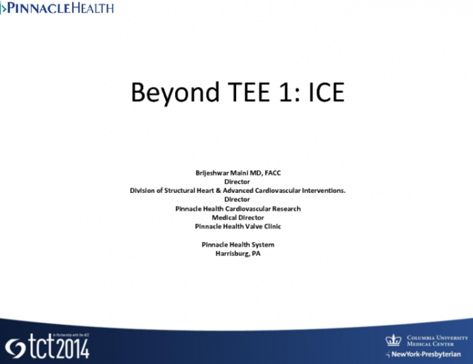 Beyond TEE 1: ICE