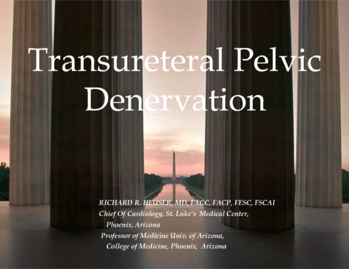 Transureteral Pelvic Denervation