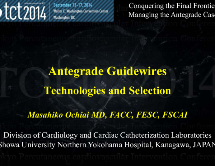 Antegrade Guidewires: Technology and Selection