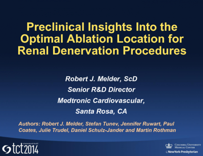 Preclinical Insights Into the Optimal Ablation Location for Renal Denervation Procedures