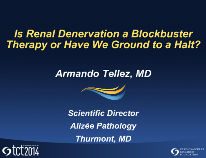 Is Renal Denervation a Blockbuster Therapy or Have We Ground to a Halt?