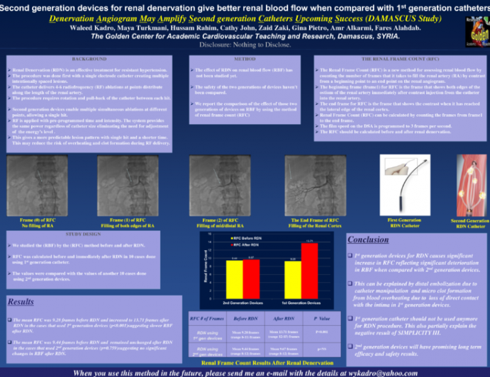 Second generation devices for renal denervation give better renal blood flow when compared with 1st generation catheters