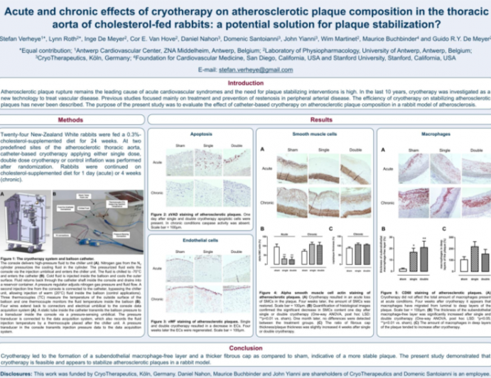 Acute and chronic effects of cryotherapy on atherosclerotic plaque composition in the thoracic aorta of cholesterol-fed rabbits: a potential solution for treatment of plaques