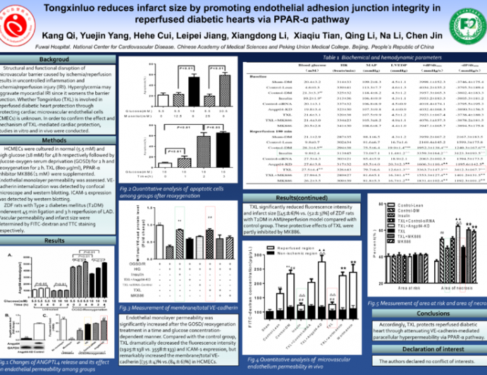 Tongxinluo reduces infarct size by promoting endothelial adhesion junction integrity in reperfused diabetic hearts via PPAR-? pathway