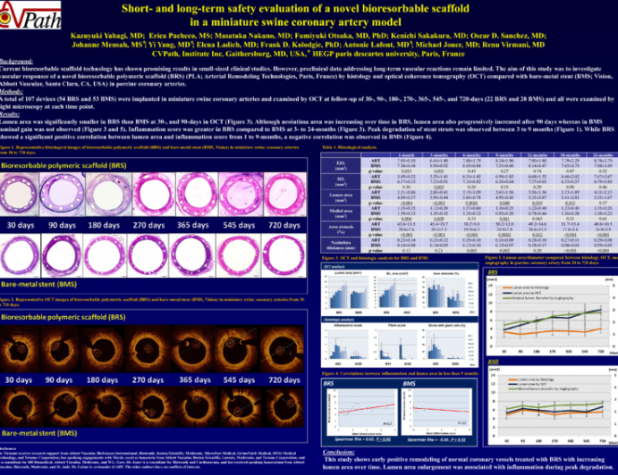 Short- and long-term safety evaluation of a novel bioresorbable scaffold in a miniature swine coronary artery model