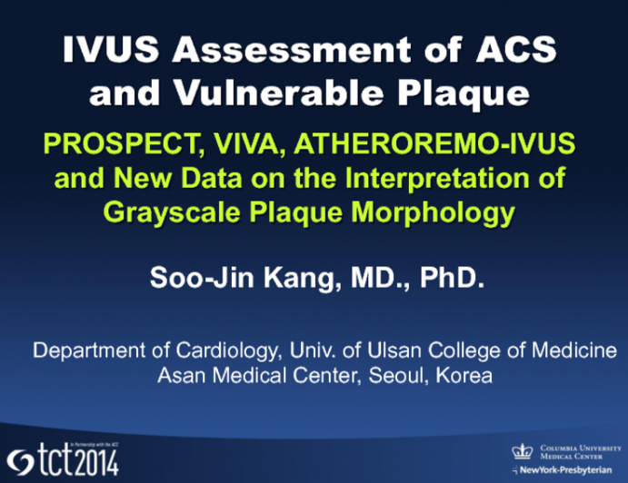 IVUS Assessment of ACS and Vulnerable Plaque: Review of PROSPECT, VIVA, and ATHEREMO-IVUS and New Data on the Interpretation of Greyscale Plaque Morphology