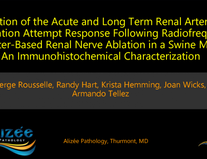 TCT 407: Evaluation of the Acute and Long-term Renal Artery Reinnervation Attempt Response Following Catheter-Based Renal Denervation in a Swine Model: An Immunohistochemical Characterization