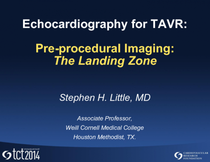 Preprocedural Imaging: The Landing Zone (Including the Annulus)