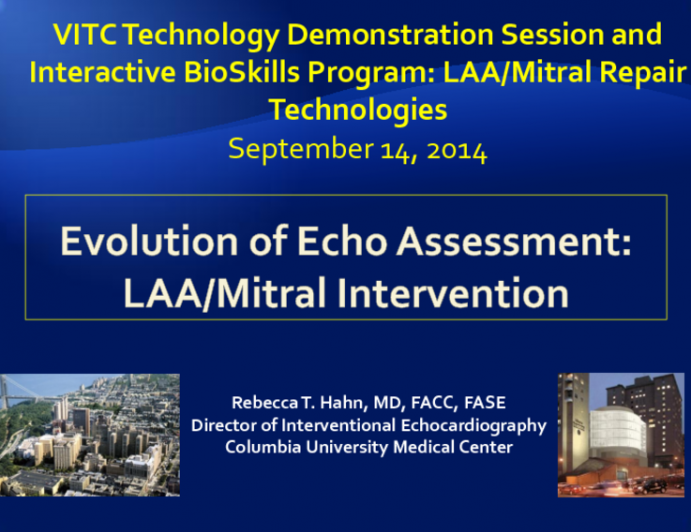 Evolution of Echo Assessment: LAA/Mitral Intervention