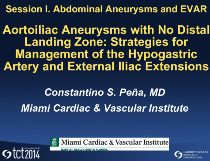 Aortoiliac Aneurysms with No Distal Landing Zone: Strategies for Management of the Hypogastric Artery and External Iliac Extensions