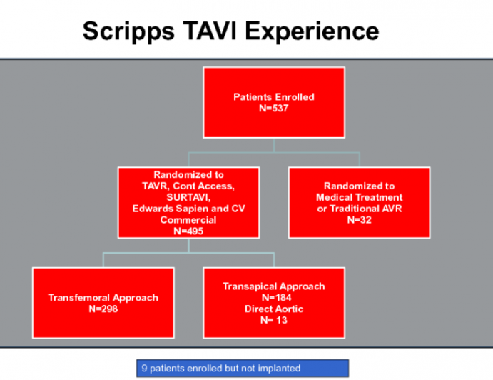 Transcatheter Aortic Valve Replacement (TAVR)