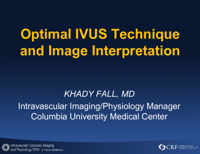 Optimal IVUS Technique and Image Interpretation