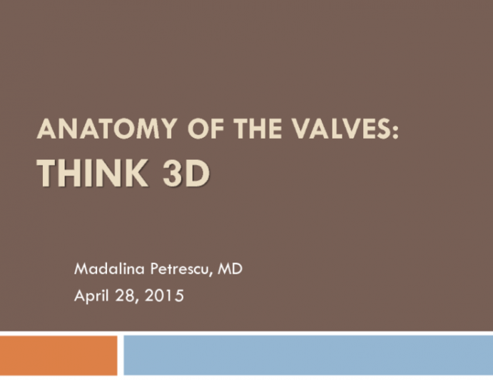 Anatomy of the Valves: Think Three-dimensional