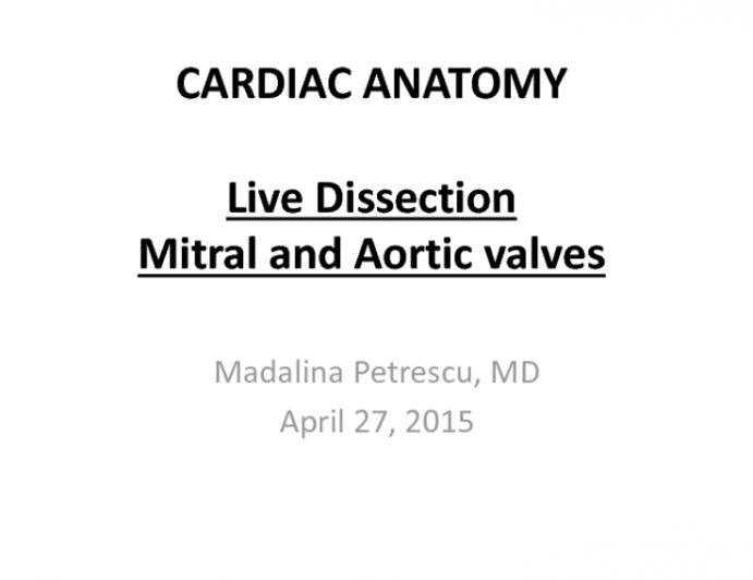 Live Dissection Mitral and Aortic valves