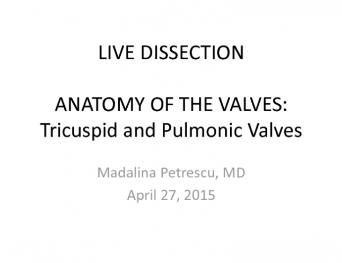 ANATOMY OF THE VALVES: Tricuspid and Pulmonic Valves