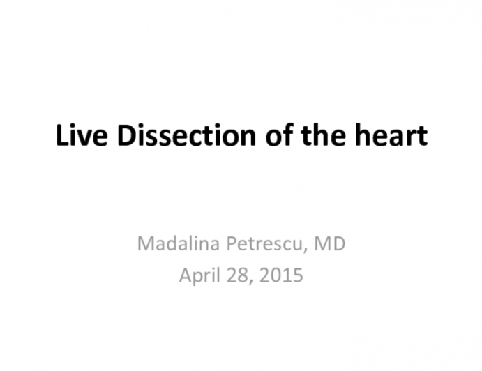 Live Dissection of the heart