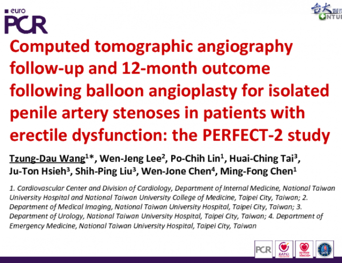 Computed tomographic angiography follow-up and 12-month outcome following balloon angioplasty for isolated penile artery stenoses in patients with erectile dysfunction: the PERFECT-2 study