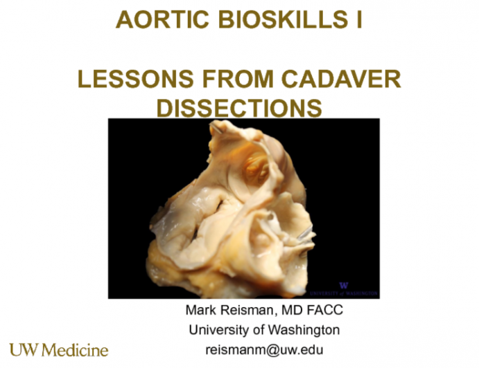 Aortic Bioskills I