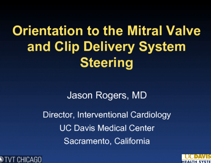 Orientation to the Mitral Valve and Clip Delivery System Steering
