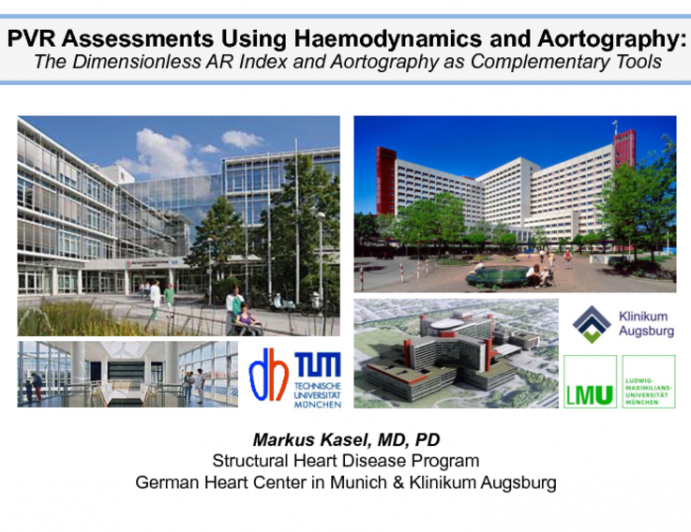 PVR Assessments Using Hemodynamics and Aortography: The Dimensionless AR Index and Angiography as Complementary Tools