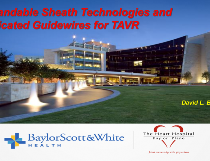 Expandable Sheath Technologies and Dedicated Guidewires for TAVR