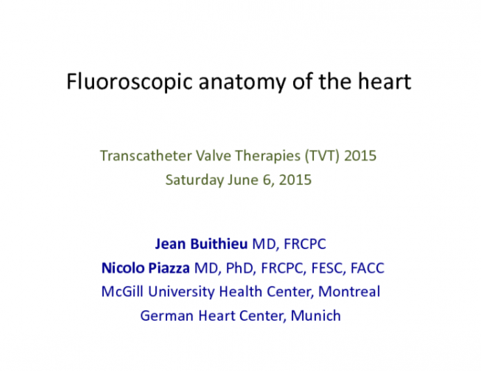 Using CTA to Understand Fluoroscopic Landmarks