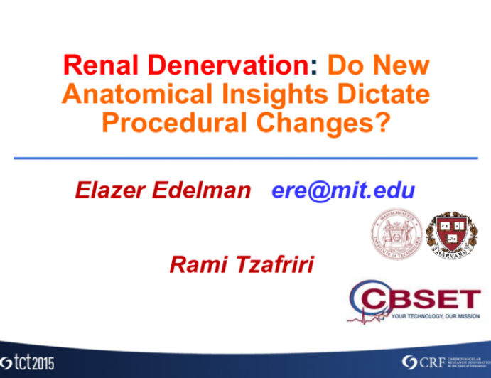 Influence of Arterial Microanatomy on Response to Renal Artery Catheter Energy Denervation