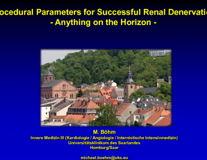Procedural Parameters for Successful Renal Denervation: Anything on the Horizon?
