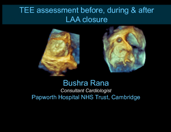 TEE Assessment Before, During, and After LAA Closure