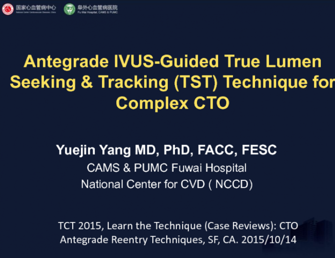 Antegrade IVUS-Guided True Lumen Seeking and Tracking Technique