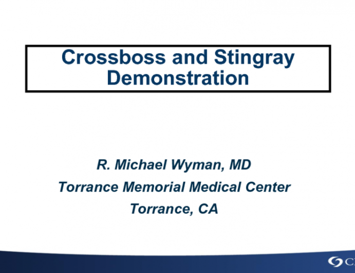 Real-Time Crossboss and Stingray Demonstration on a model