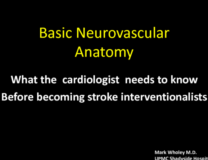 What Cardiologists Need to Know Before Becoming Stroke Interventionalists I: Basic Cerebrovascular Anatomy and Physiology and Differences Between the Cerebral and Coronary Arteries in Stroke